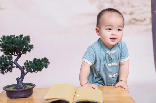 东明可爱的企鹅宝宝